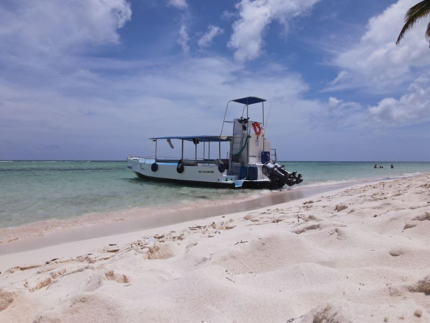 Saona Island: Beach & Natural Pool Small-Group Tour w/ Lunch - Price and value: is $110 a good deal for a full-day park cruise?