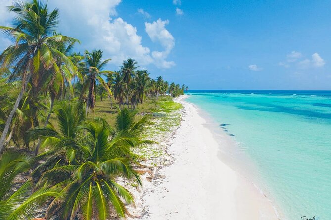 Saona Island Caramaran Adventure from Punta Cana With Lunch - Piscina Naturalmente: make the most of the 45-minute stop