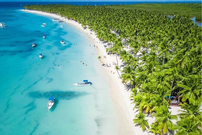 Saona Island Caramaran Adventure from Punta Cana With Lunch - Isla Saona time: lunch, beach calm, and serious photo light