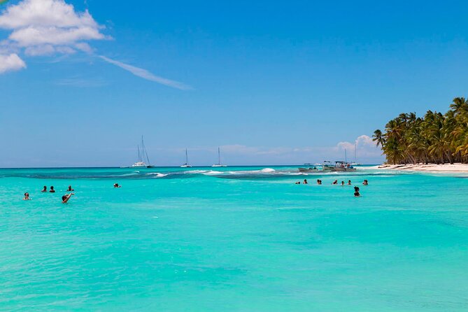 Saona Island Catamaran Adventure with Free Food and Transportation - Crowd Energy, Noise, and Timing: What Could Affect Your Day