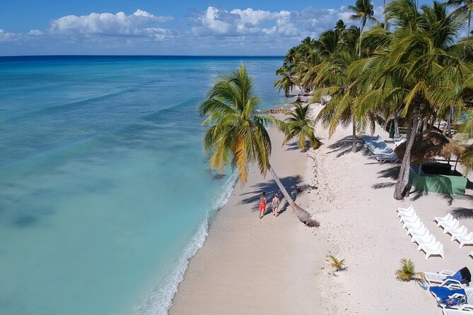 Saona Island Catamaran Cruise Experience (All Inclusive) - Buffet Lunch and Open Bar: How the Included Meal Fits the Day