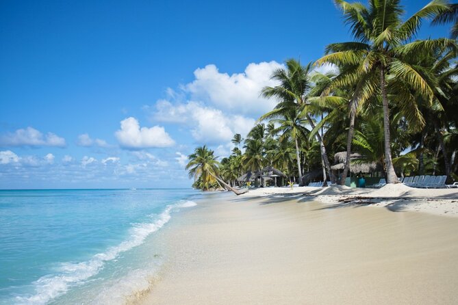 Saona Island Catamaran Cruise Experience (All Inclusive) - Dock Moments and Island Extras: What to Expect When Things Get Busy
