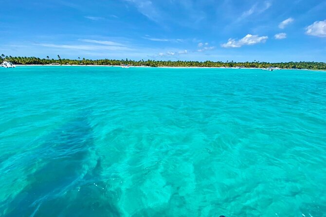 Saona Island Catamaran Cruise Experience (All Inclusive) - What You Get for $99: Real Value Breakdown