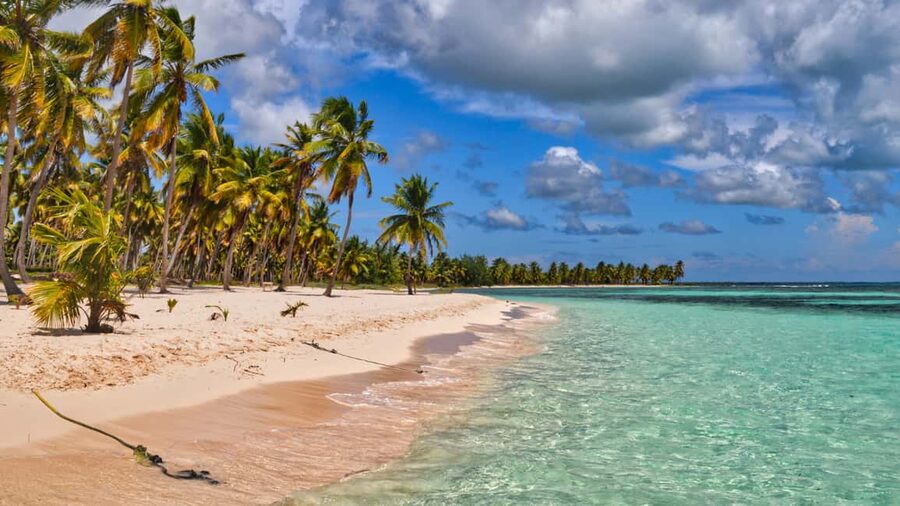 Saona Island: Catamaran Excursion with Lunch and Drinks - Catamaran or speedboat: the onboard vibe and the drink situation