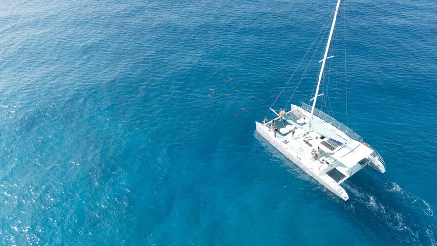 Saona Island: Catamaran Excursion with Lunch and Drinks - Saona Island free time: beach, swimming, and that Saona pool moment