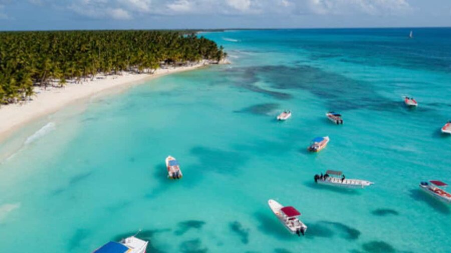 Saona Island: Catamaran Excursion with Lunch and Drinks - Lunch by the sea: what’s on the buffet and how to order smart