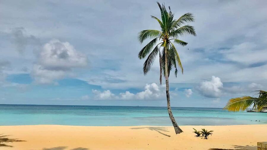 Saona Island: Catamaran Excursion with Lunch and Drinks - Massage offers on Saona, and how to keep control of your day