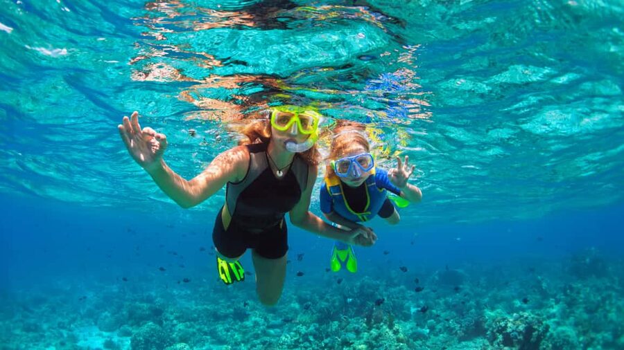 Saona Island: Catamaran Excursion with Lunch and Drinks - Price and value: who this $60 excursion suits best