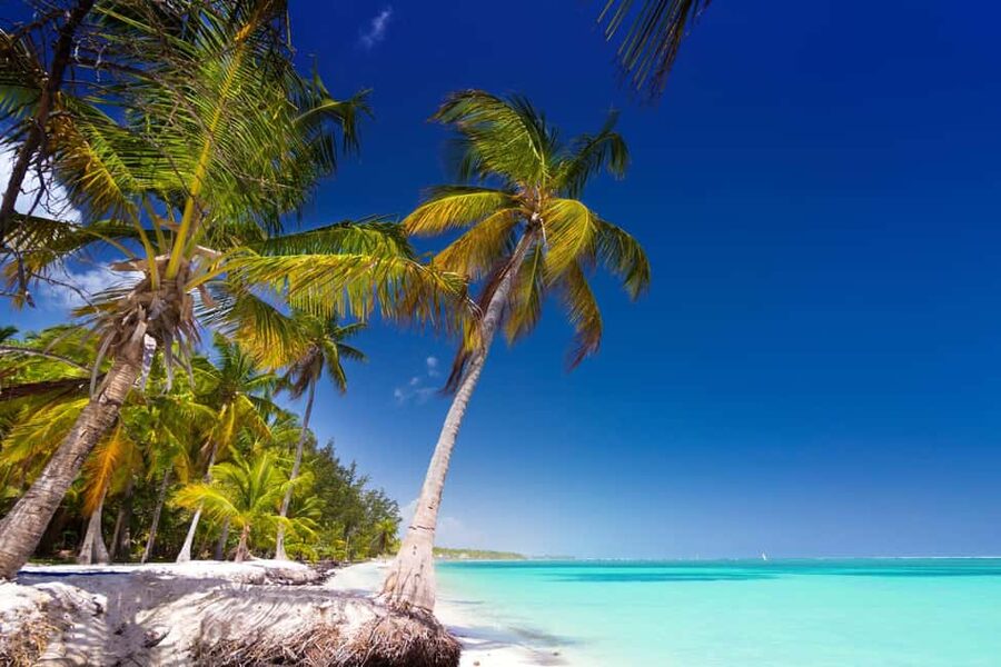 Saona Island: Catamaran/Speedboat Tour to a Dream Beach - Lunch, drinks, and the pace of “organized fun”
