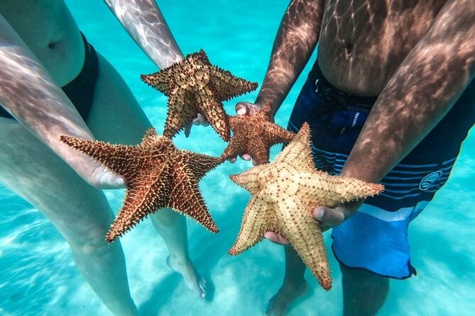 Saona Island Day Tour - Key things I’d pay attention to