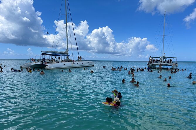 Saona Island Day Tour - From Punta Cana to Bayahibe, your real time budget