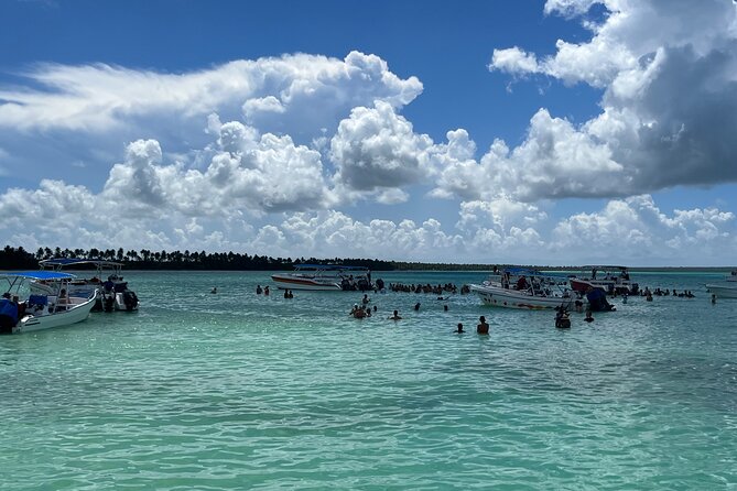 Saona Island Day Tour - Private tour promises, guide language, and pickup reliability