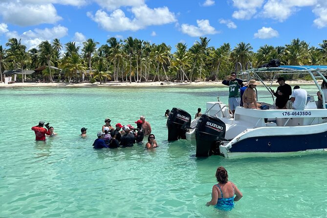 Saona Island Day Tour - Who this Saona Island day trip is best for