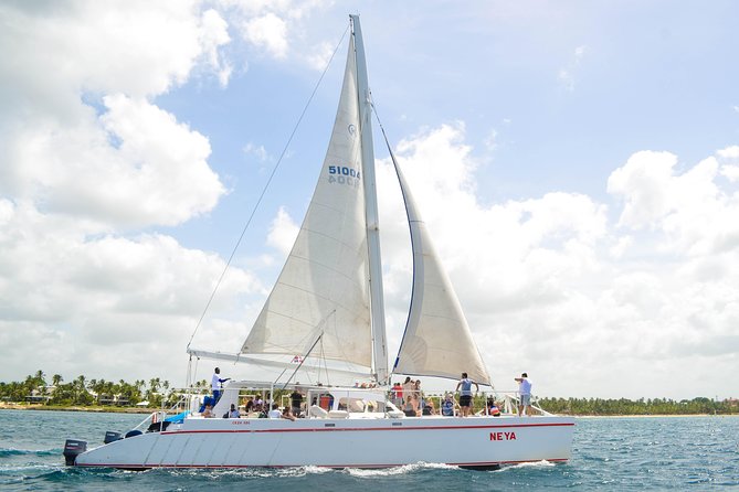 Saona Island Day Trip - Key highlights at a glance
