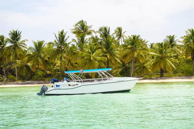 Saona Island Day Trip - Why this Saona Island day trip works from Punta Cana
