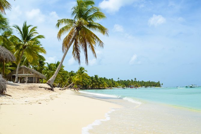 Saona Island Day Trip - Isla Saona for beach time: what the 2-hour window is really for