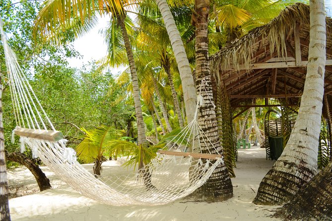Saona Island Day Trip - The pace, the group size, and why it feels less chaotic