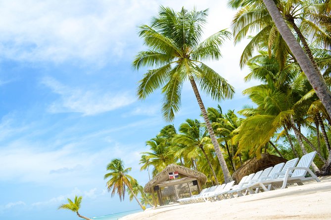 Saona Island Day Trip - Price and value: is $85 per person worth it?