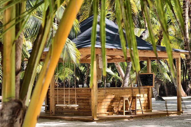 Saona Island Day Trip and Cruise from Punta Cana - The natural pool by high-speed boat: the big ride moment