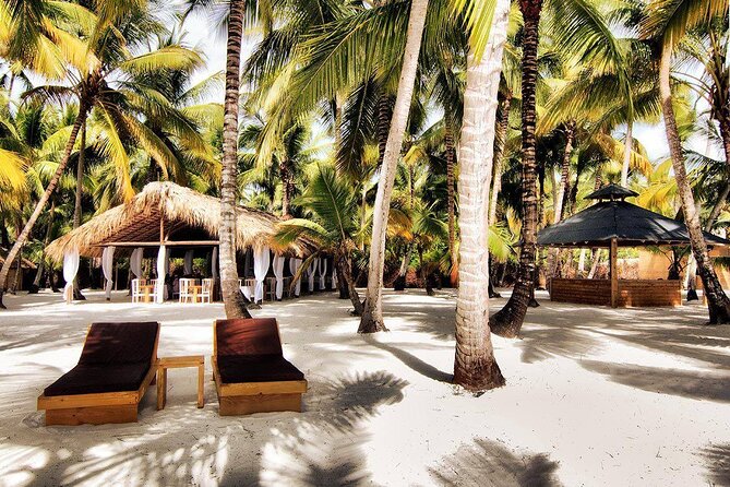 Saona Island Day Trip and Cruise from Punta Cana - Lunch and open bar: what included means for your budget