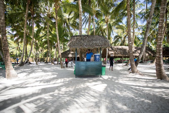 Saona Island Day Trip From Punta Cana with Lunch and Open Bar - Isla Saona Time: Beach Relaxation With a Real-World Clock