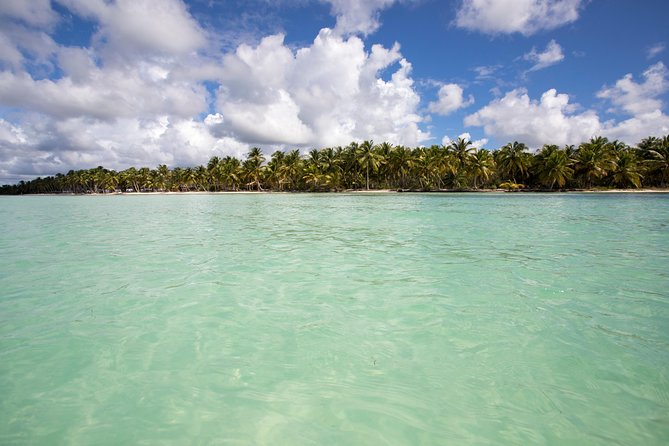 Saona Island Day Trip From Punta Cana with Lunch and Open Bar - Lunch, Snacks, and the Open Bar: What You’ll Actually Taste