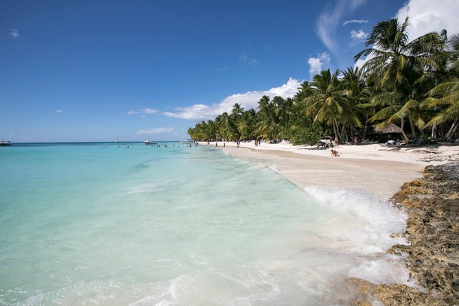 Saona Island Day Trip From Punta Cana with Lunch and Open Bar - The Return on Catamaran: Party Energy, Music, and Time to Float