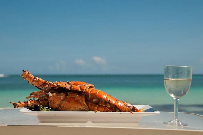 Saona Island Day Trip + Lobsters Included - Key reasons this Saona day trip earns repeat bookings