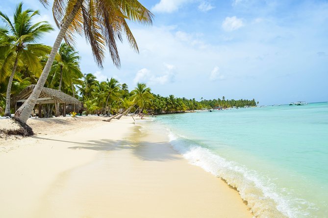 Saona Island Day Trip + Lobsters Included - Lobster lunch and the open bar: good value if it matches expectations