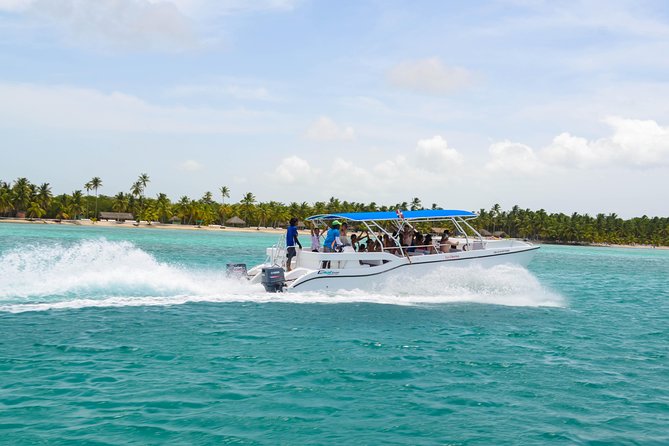 Saona Island Day Trip + Lobsters Included - Price and value: when $225 feels worth it