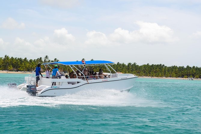 Saona Island Day Trip + Lobsters & Wine Included - Price and value: why $210 can make sense for this day