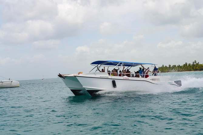 Saona Island Day Trip + Lobsters & Wine Included - Group size and comfort: up to 60 can be fine, if you plan