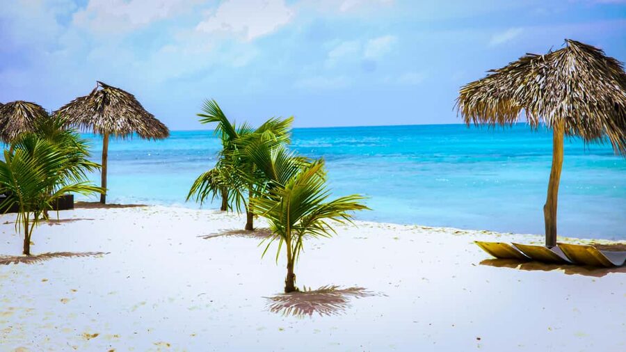 Saona Island Day Trip + Lunch + Open Bar from Punta Cana - Bayahibe transfer, the break, and what the guide-led portion adds