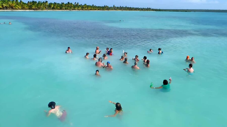 Saona Island Day Trip + Lunch + Open Bar from Punta Cana - Buffet lunch plus BBQ food, what to eat and how to plan your appetite