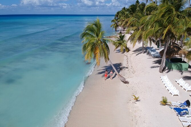 Saona Island Discovery - Key Points Before You Go