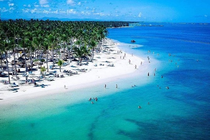 Saona Island Discovery - Review Snapshot: What People Are Happier About