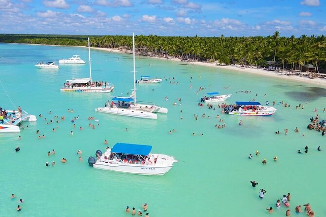 Saona Island Discovery - Getting From Punta Cana: The Pickup Flow You Should Expect