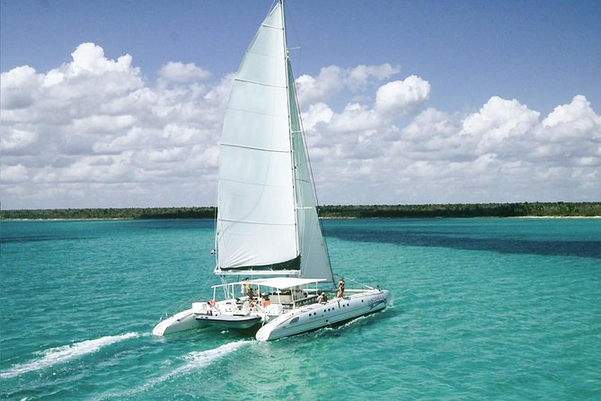 Saona Island Excursion by Catamaran and Speedboat - Key highlights to know before you go