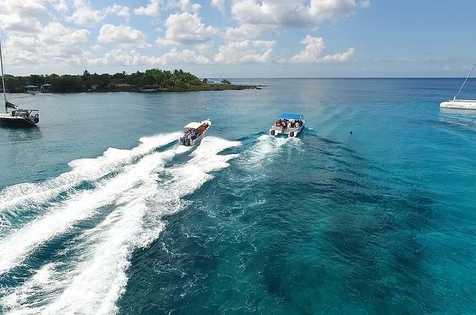 Saona Island Excursion by Catamaran and Speedboat - BBQ lunch and open bar: What’s included, and how to plan your food and drinks