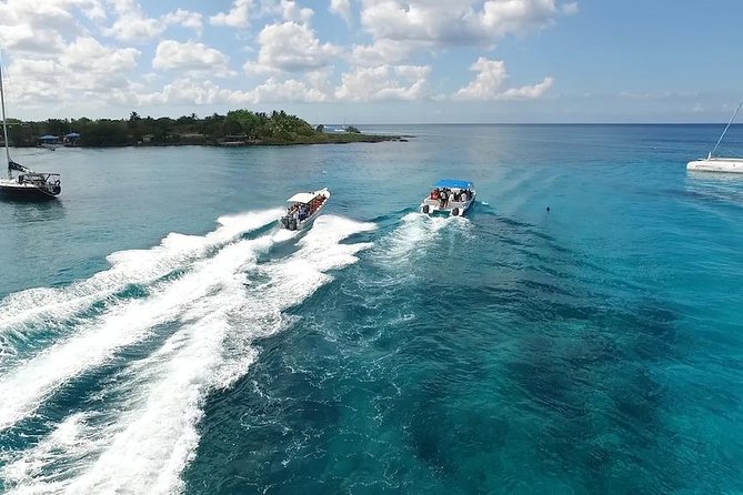 Saona Island Excursion by Catamaran and Speedboat - Catamaran vs speedboat: The ride changes the mood