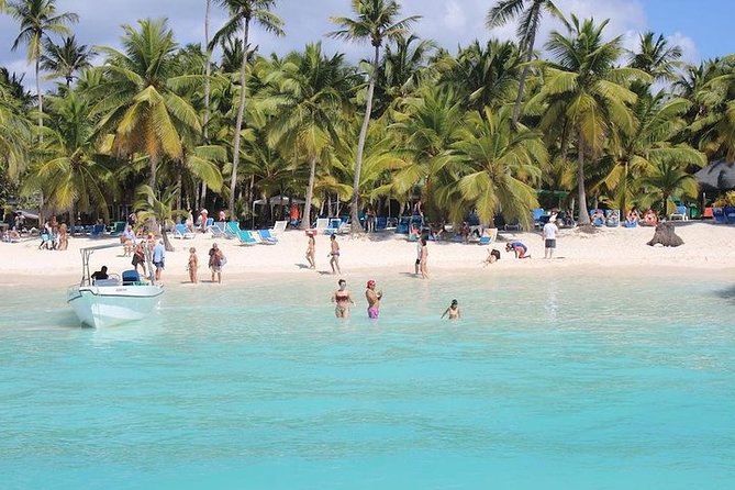 Saona Island Excursion by Catamaran and Speedboat (Full Day) - Key Things You Should Know