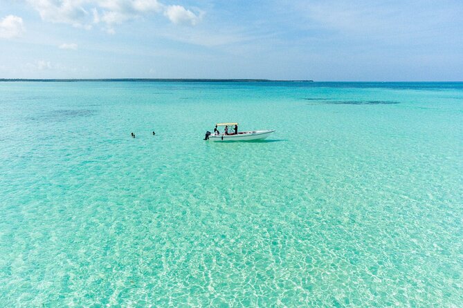 Saona Island Excursion from Bayahibe - Key things to know before you go