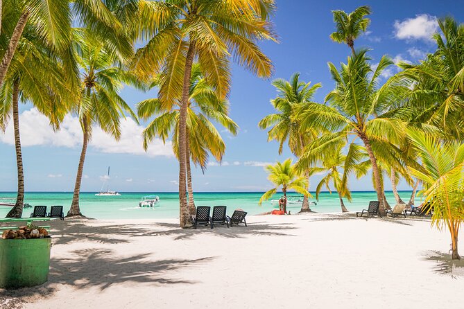 Saona Island Excursion from Bayahibe - Isla Saona stop: beach time, swimming, and the island rhythm