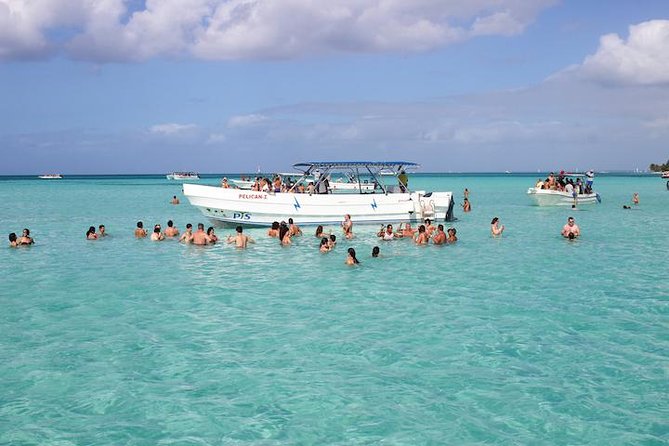 Saona Island Excursion from Bayahibe - Lunch on the island: barbecue vibe, buffet flow, and vegetarian options