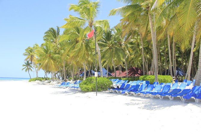 Saona Island Excursion From Punta Cana - Lunch, bottled water, and the open bar: what to expect from the food and drinks