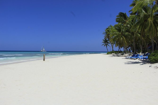 Saona Island Excursion From Punta Cana - Boat rides, life jackets, and the “party crew” factor
