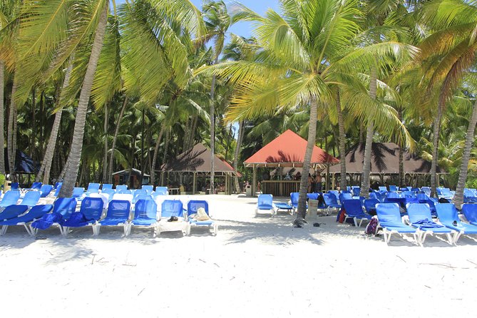 Saona Island Excursion From Punta Cana - Price and value at $82: what’s included, what costs extra, and what that means for you