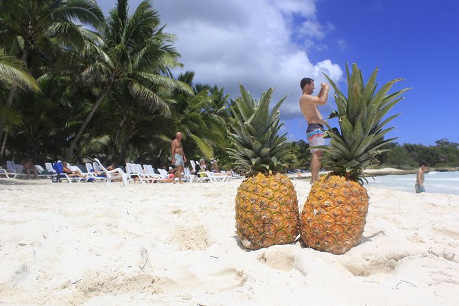 Saona Island Excursion From Punta Cana - What to pack for Saona, beyond the obvious sunscreen