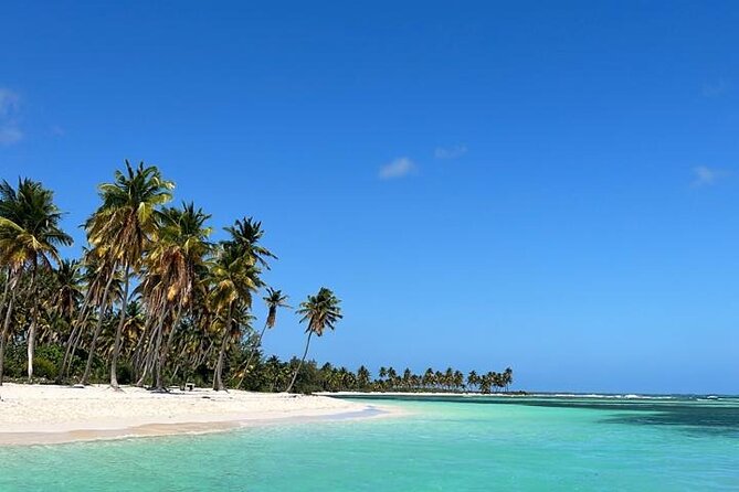 Saona Island for Marella Discovery Passengers from La Romana Port - Key things I’d plan around