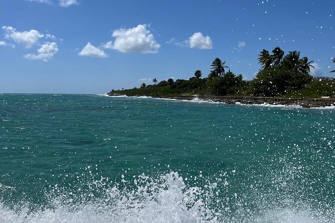 Saona Island for Marella Discovery Passengers from La Romana Port - Mano Juan village: local life, wooden houses, and turtle sanctuary time